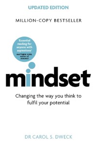 Image of Mindset